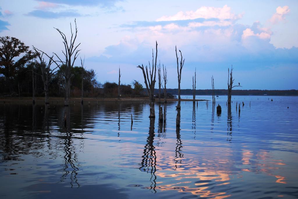 Lake Fork Marina & Motel Gunter Dış mekan fotoğraf